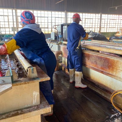 About img 20250819 wa0041